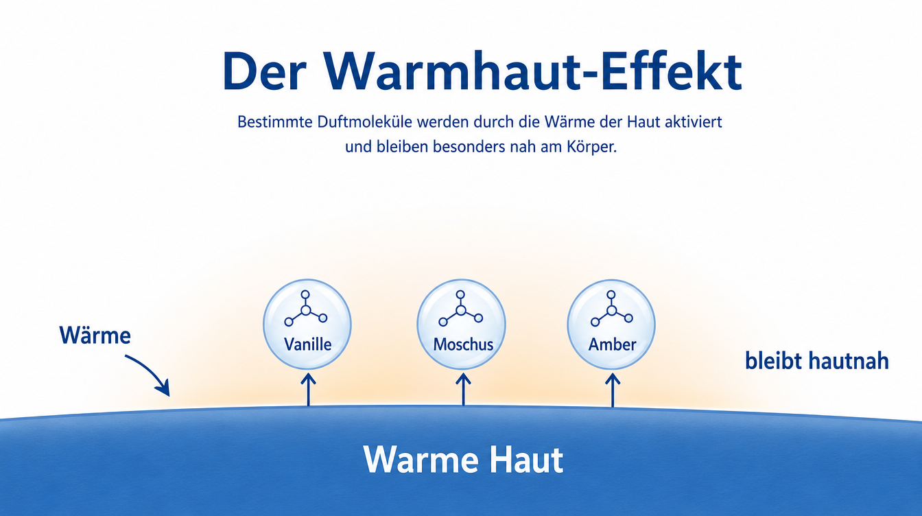 Der Warmhaut-Effekt: Wärme aktiviert Moschus und Vanille, der Duft bleibt hautnah